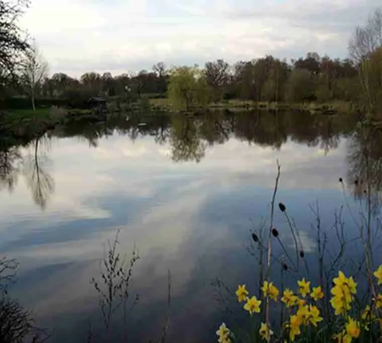 Marton-Heath-Trout-Pools