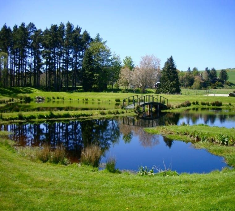 Mill of Kellas Trout Fishery189