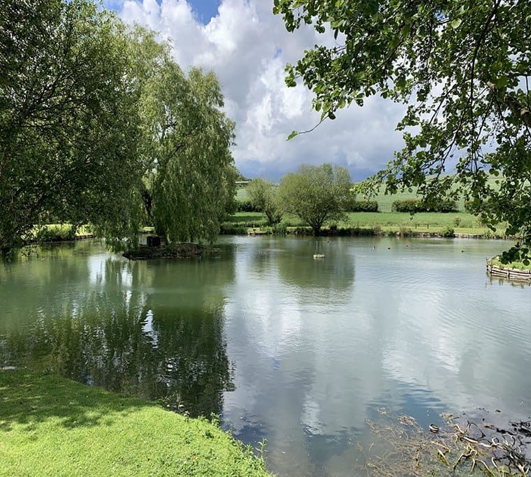 Moorhen Trout Fishery444