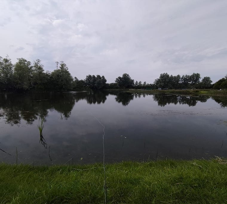 Movilla Trout Fishery447