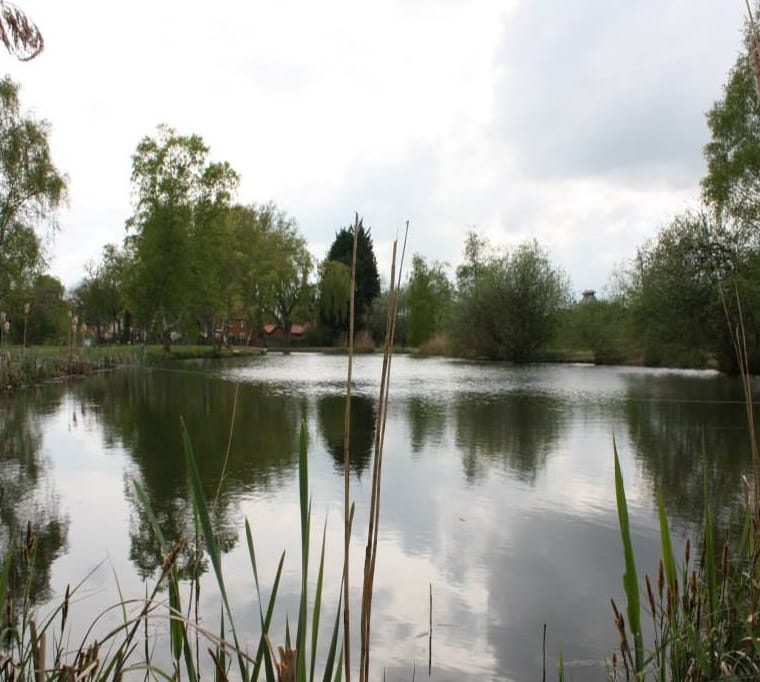 Narborough Fisheries450