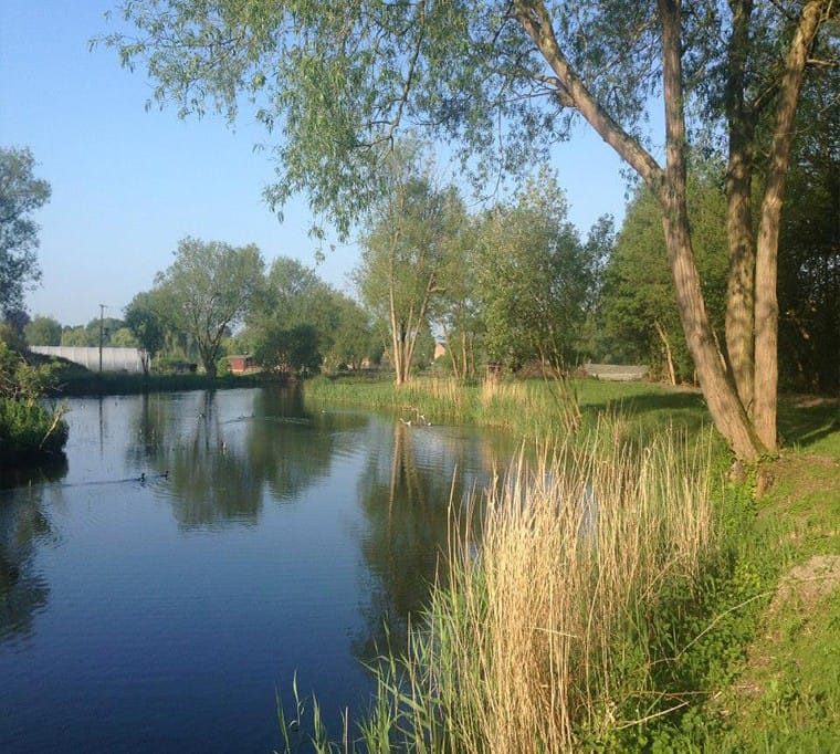 Narborough Fisheries451