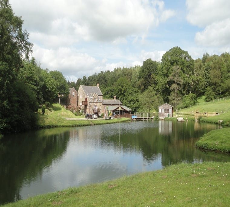 New Mills Trout Fishery454