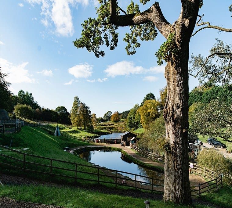 New Mills Trout Fishery455