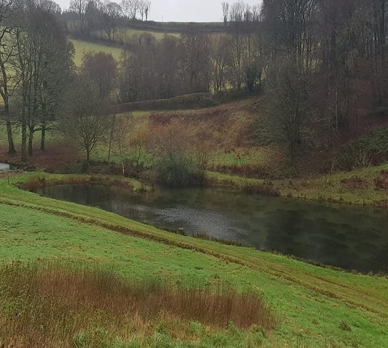 Newhouse Fishery (Wales)458