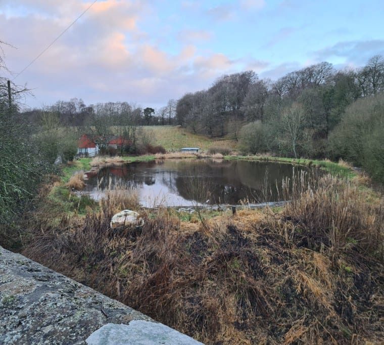 Newmill Trout Fishery and Tackle Shop201