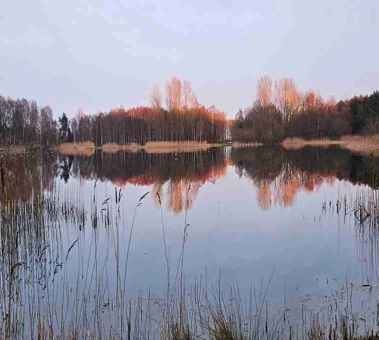 North-Yorkshire-Water-Park-Fisheries-3