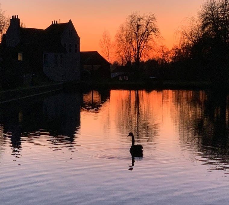 Northbrook Fish Farm471