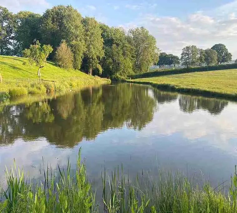 Orchard-Holiday-Park-Fishery-3