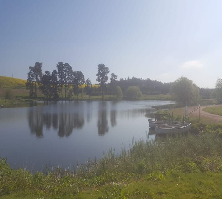 Orchill Loch Trout Fisheries205