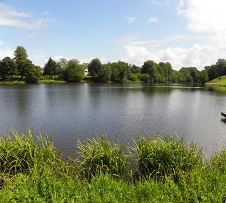 Park Lake Trout Fishery481