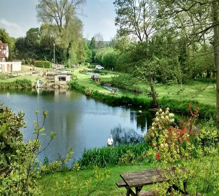 Parkwood Trout Farm482