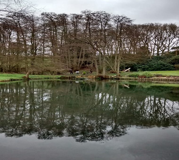 Parkwood Trout Farm483