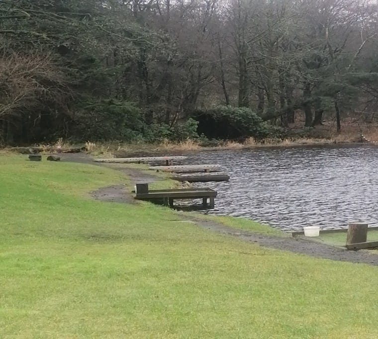 Pinewood Trout Fishery30