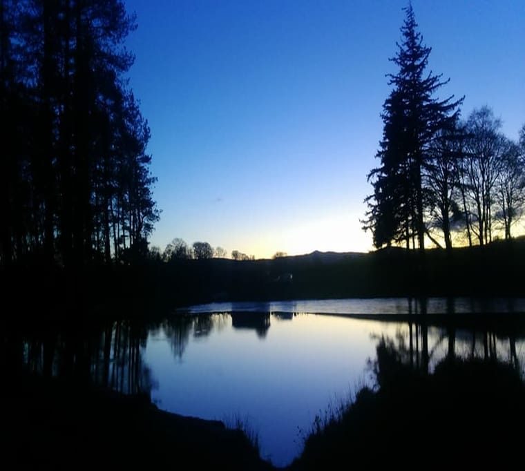 Pinewood Trout Fishery31