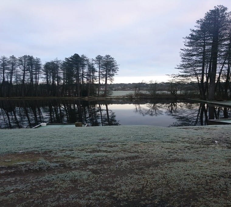 Pinewood Trout Fishery33