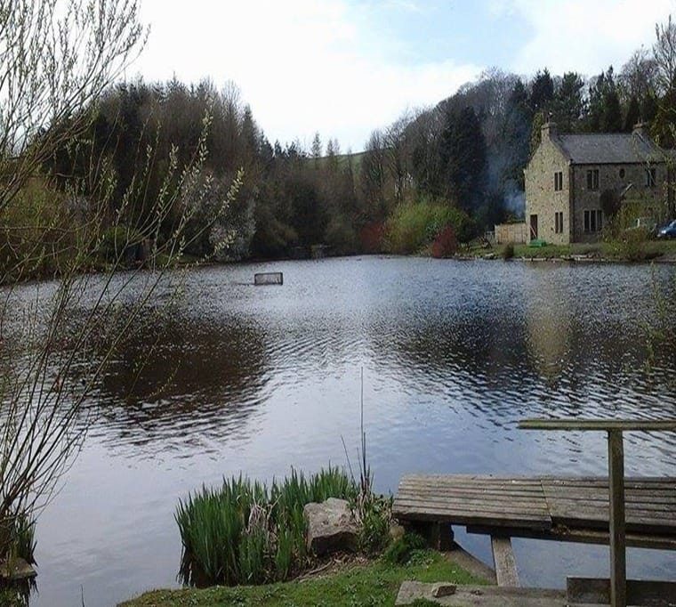 Raygill Fishing Lakes504