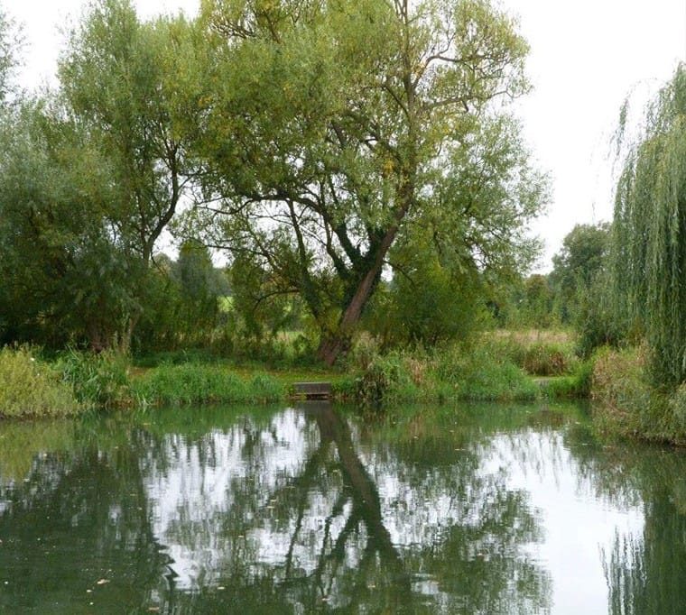 Redbournbury Fishery510