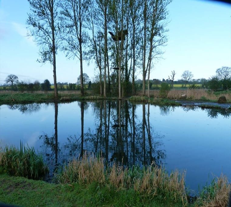 Redbournbury Fishery511