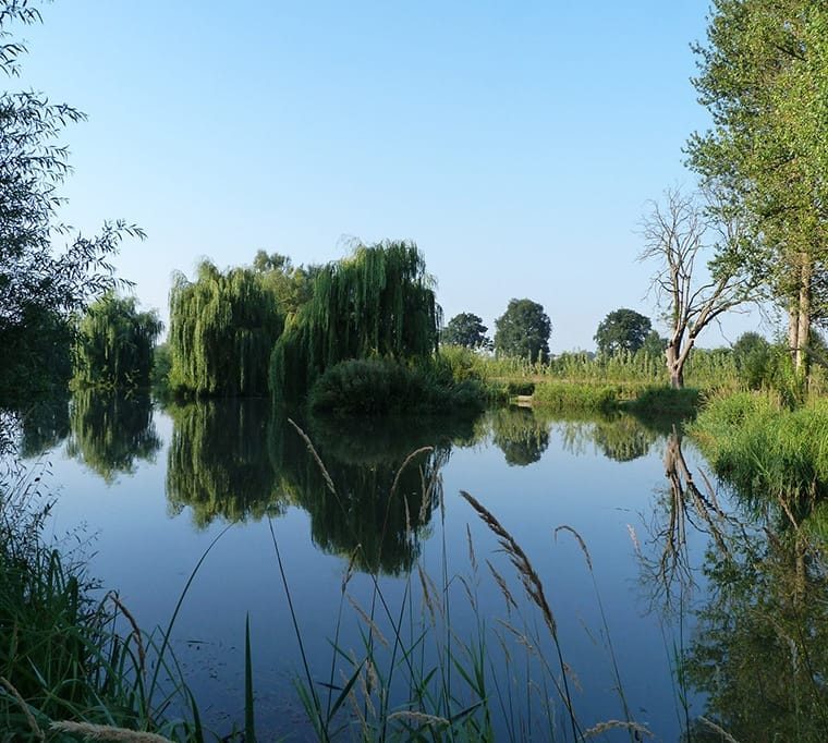 Redbournbury Fishery512