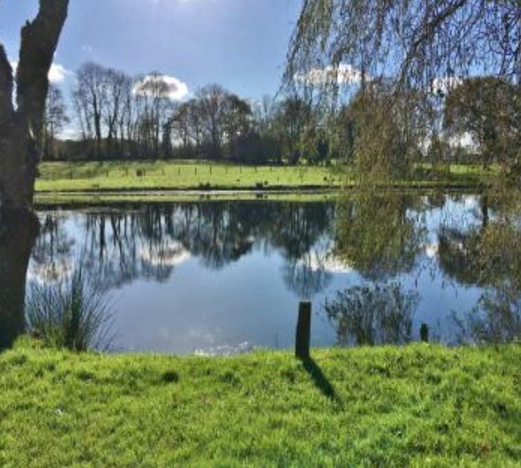 Rhydlewis Trout Farm & Smokery517