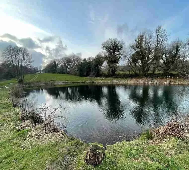 Rose-park-Fishery534