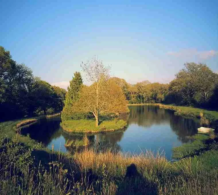 Rose-park-Fishery536