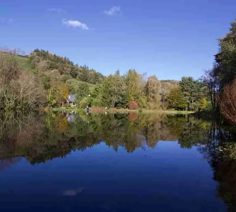 Rose-park-Fishery537