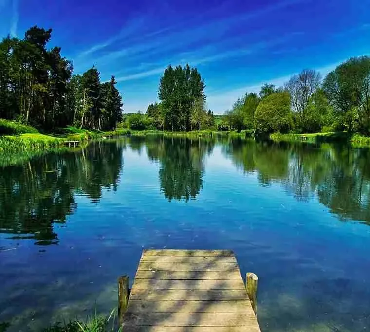 Salford-Trout-Lakes551