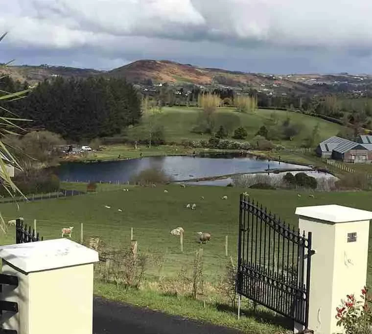 Shanroe-Trout-Fishery-3 (1)