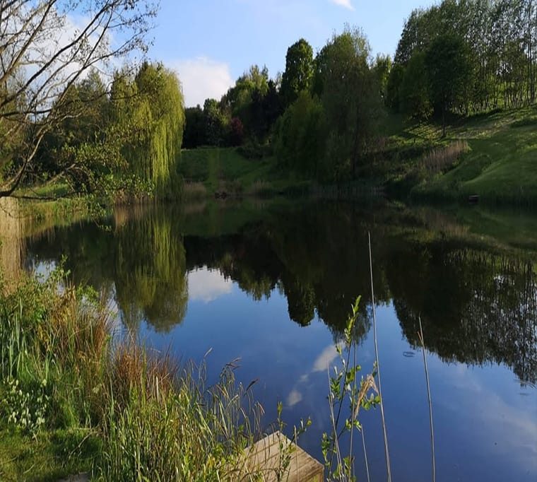 Spring Hill Trout Waters575