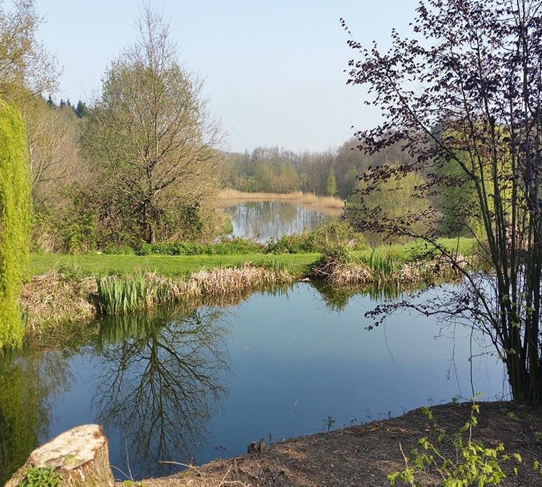 Spring Hill Trout Waters576