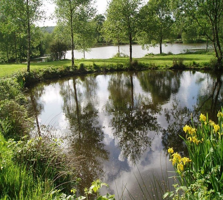 Springwater Lakes580