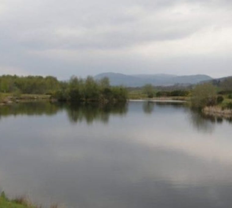 Stoneyfield Lochs Trout Fishery1