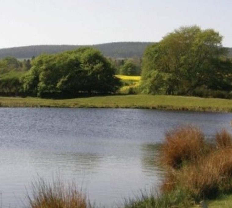 Stoneyfield Lochs Trout Fishery3