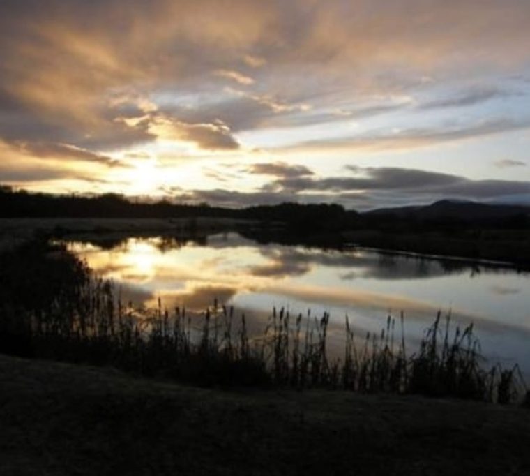 Stoneyfield Lochs Trout Fishery4