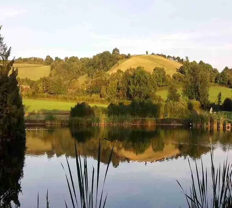 Stowting-Trout-Lake-3