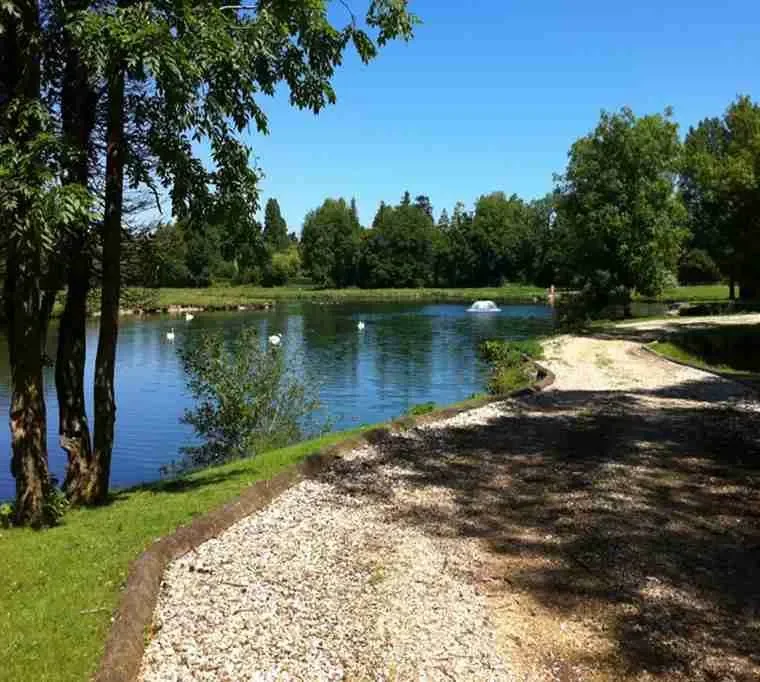 Sutton-Springs-Fishing-At-Testwood594