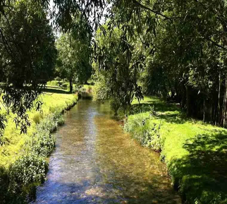 Sutton-Springs-Fishing-At-Testwood595