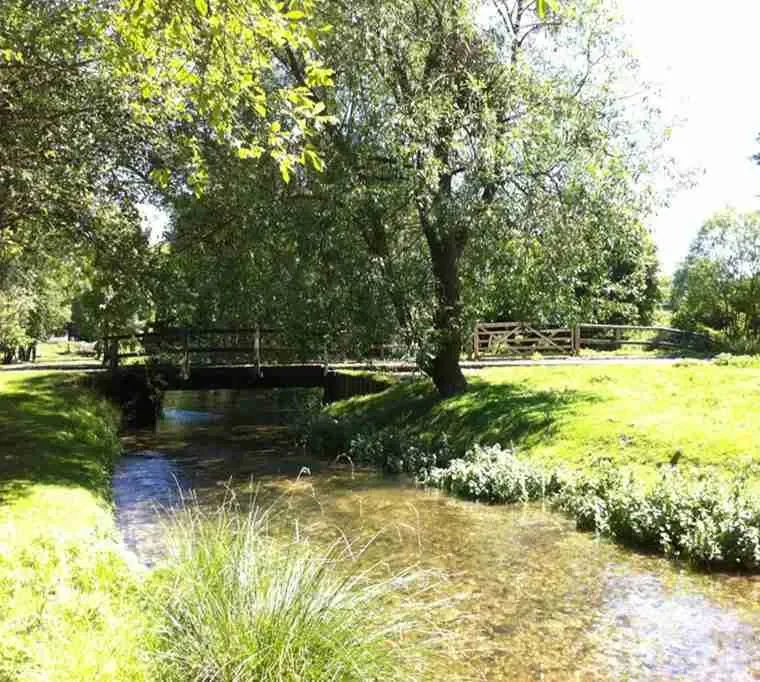 Sutton-Springs-Fishing-At-Testwood596