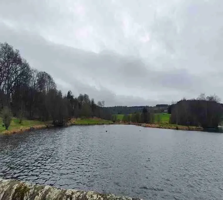 Swanswater-Fishery235