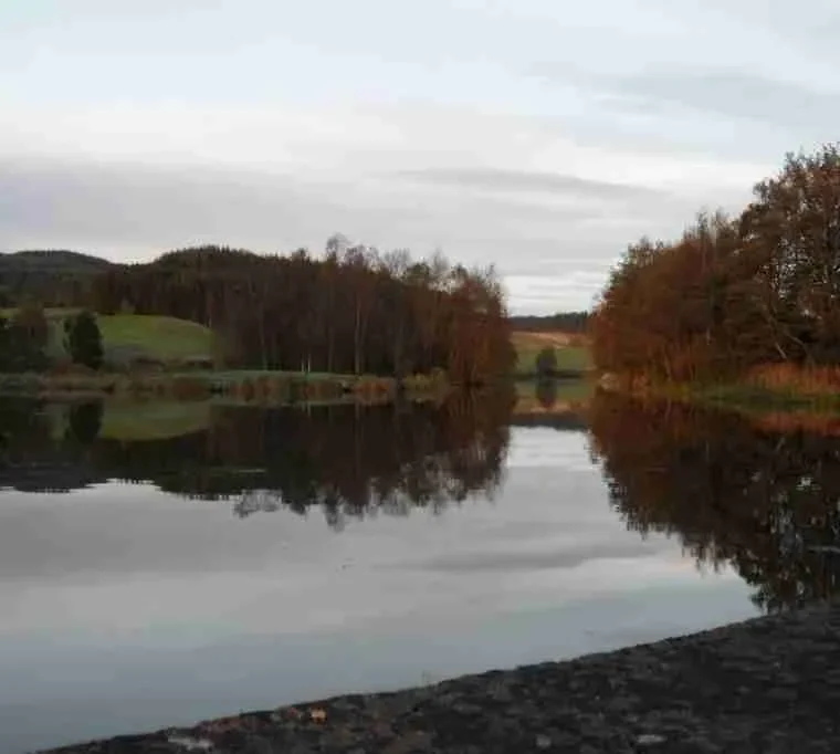 Swanswater-Fishery236