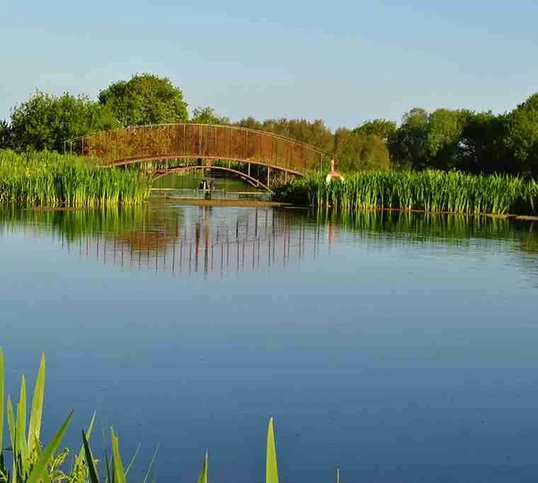 Tan-y-Mynydd-Trout-Fishery600