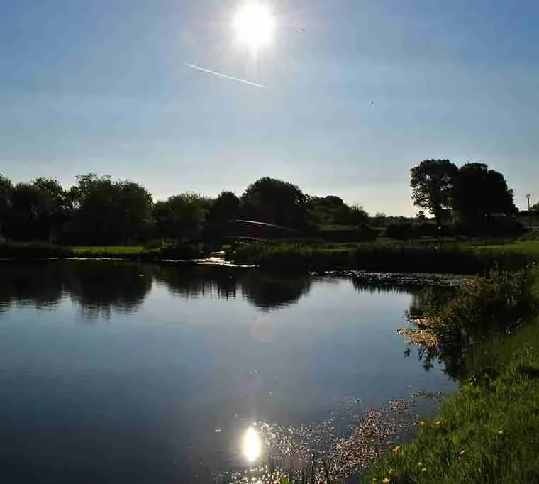 Tan-y-Mynydd-Trout-Fishery601