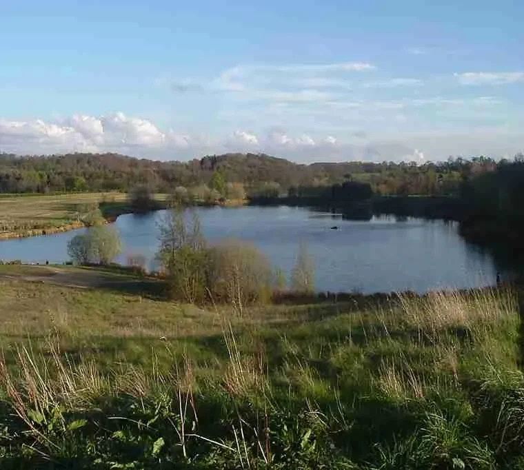 Tanfield-Lodge-Lake603