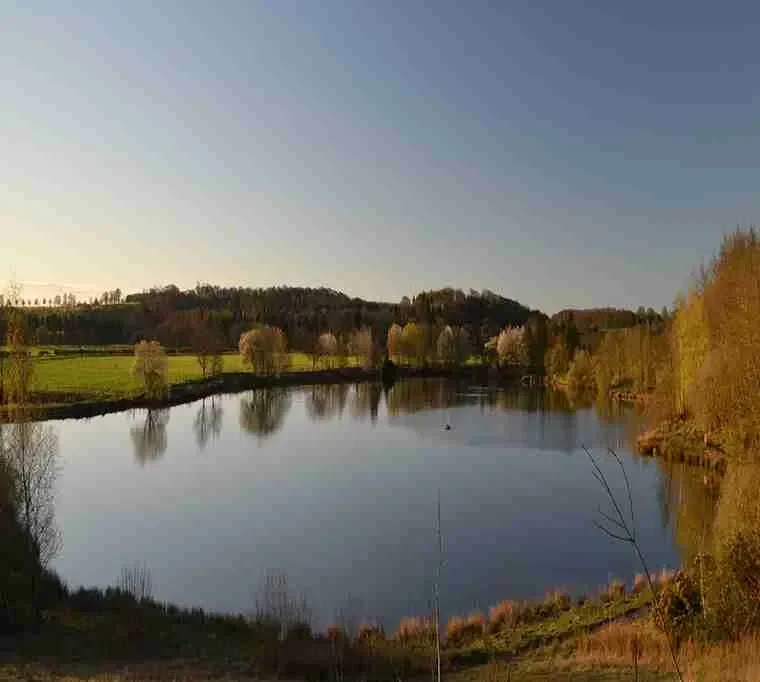 Tanfield-Lodge-Lake694