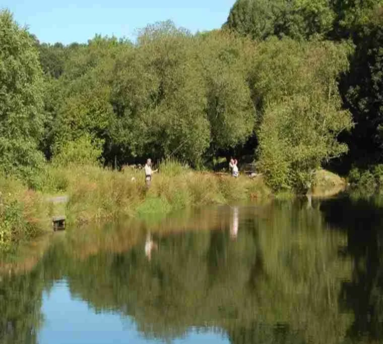 Tavistock-Trout-Fishery605