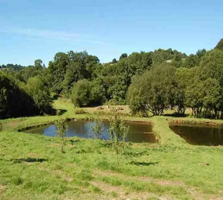 Tavistock-Trout-Fishery607