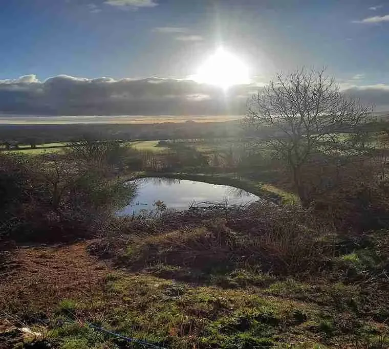 Temple-Springs-Fishery608