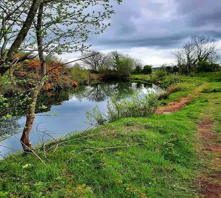 Temple-Springs-Fishery609